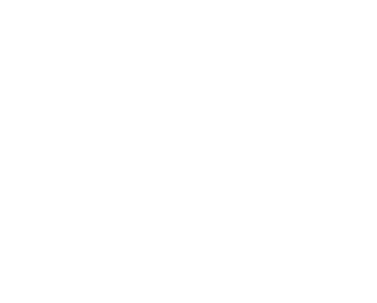 AYESHA INVESTMENTS-UK logo