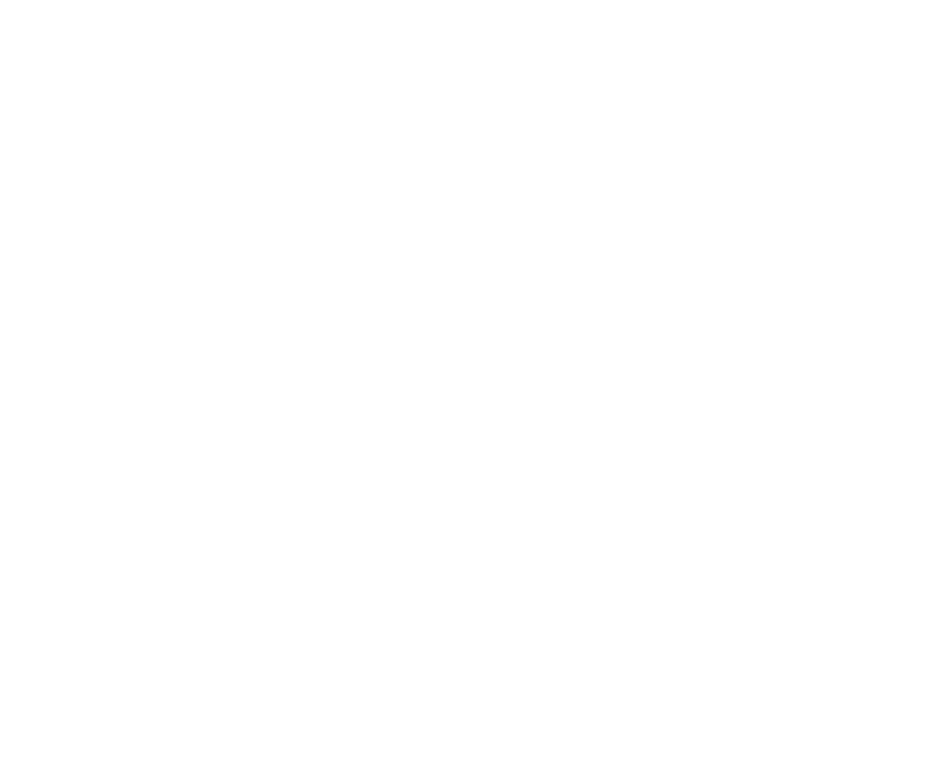 Ayesha Investments
